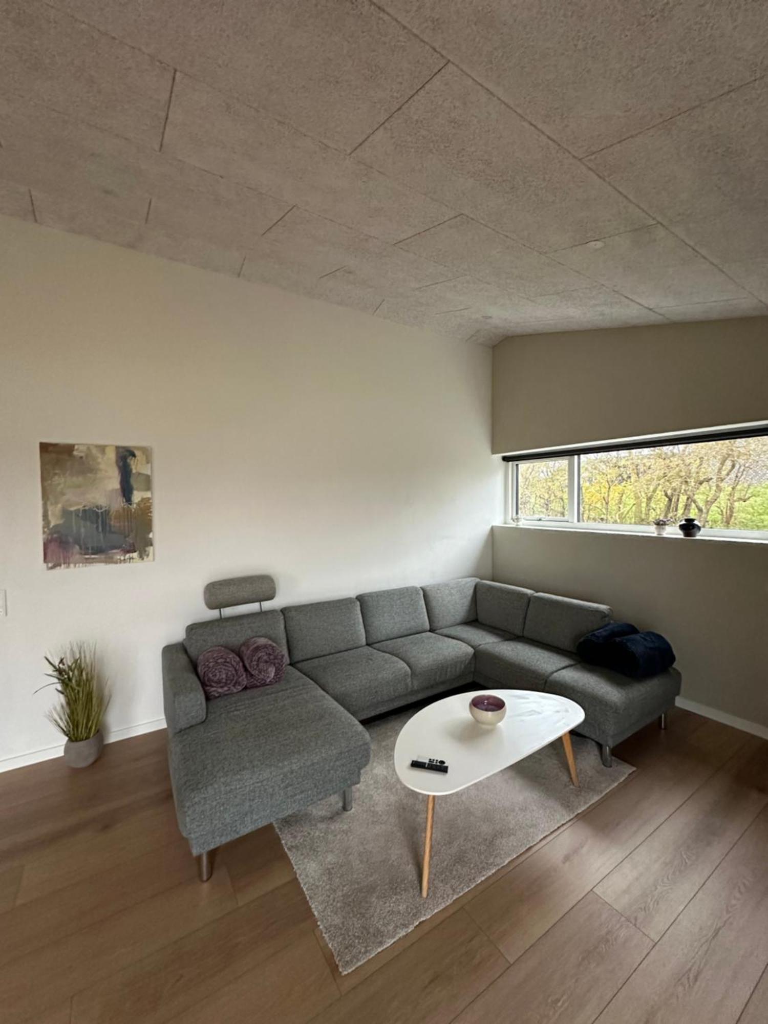 Villa Moderne Nybygget à Holstebro Extérieur photo